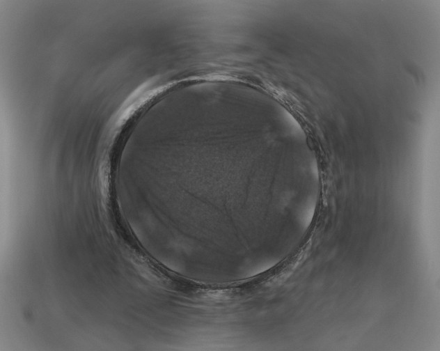 X0000112800295200910021125