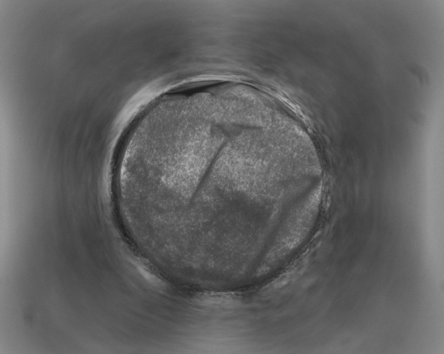 X0000112800296200910021125