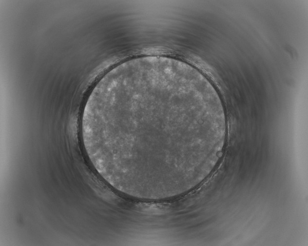X0000112800297200910021125