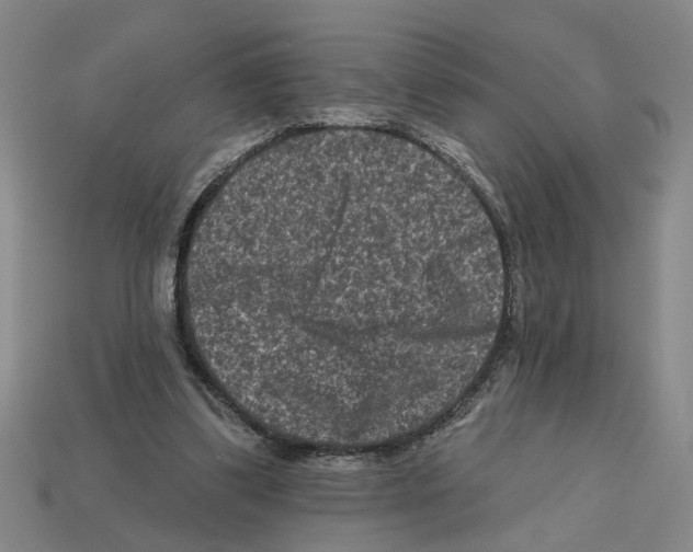 X0000112800299200910021125