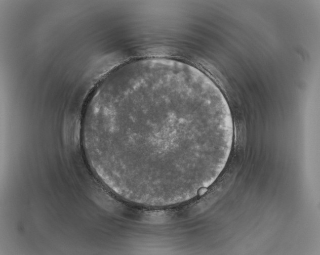 X0000112800301200910021125