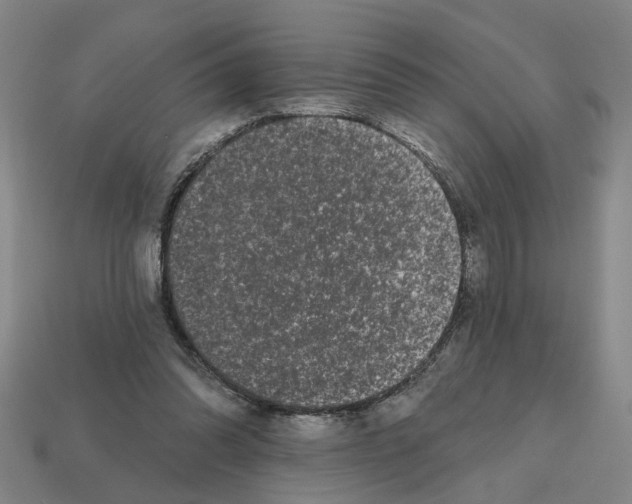 X0000112800302200910021125