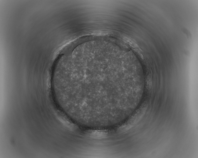 X0000112800303200910021125