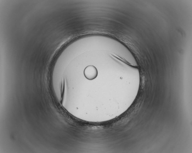X0000112800304200910021125