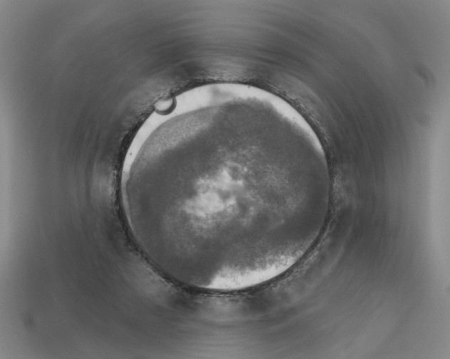 X0000112800305200910021125