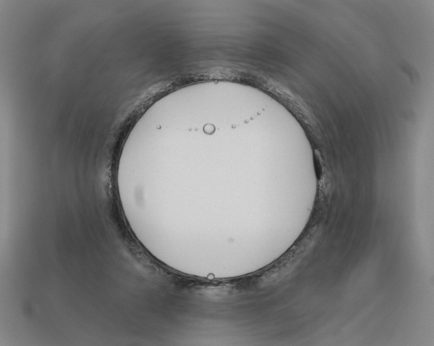 X0000112800306200910021125