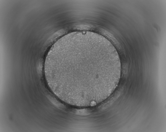X0000112800309200910021125