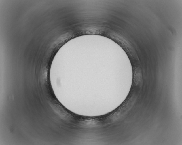 X0000112800310200910021125