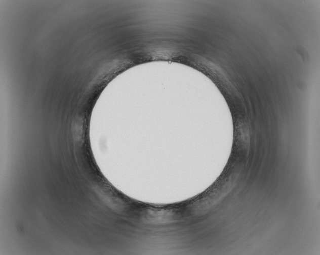 X0000112800311200910021125