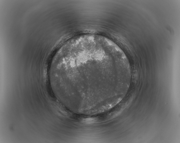X0000112800312200910021125