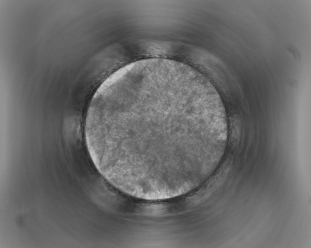 X0000112800313200910021125