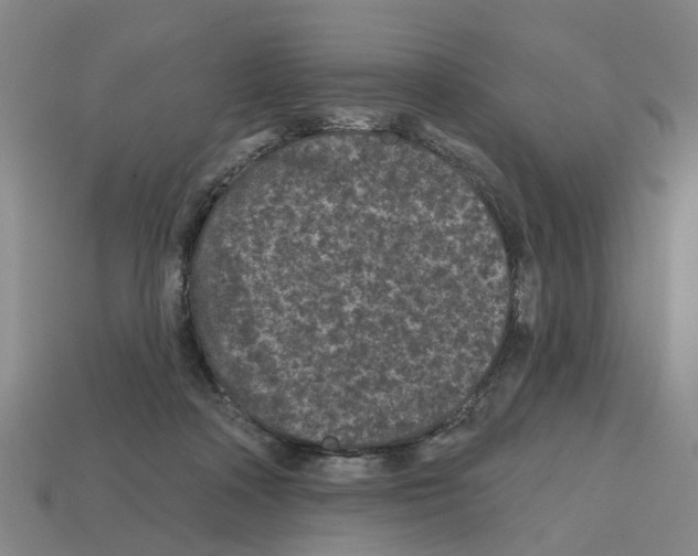 X0000112800314200910021125