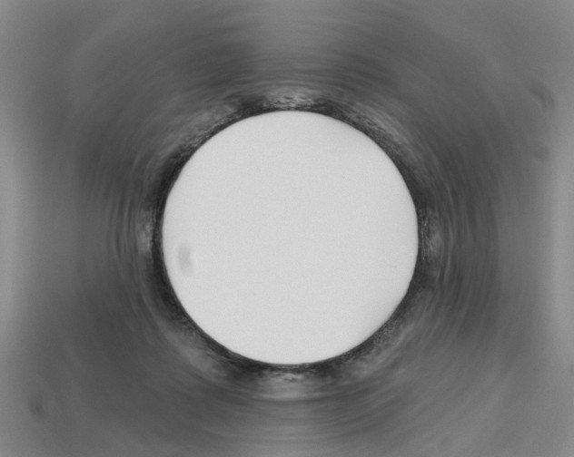 X0000112800315200910021125
