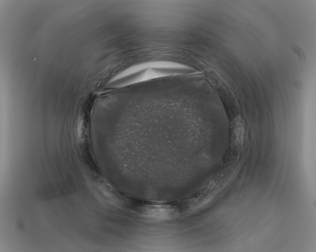 X0000112800316200910021125