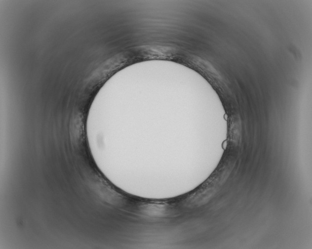 X0000112800318200910021125