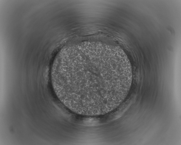 X0000112800319200910021125