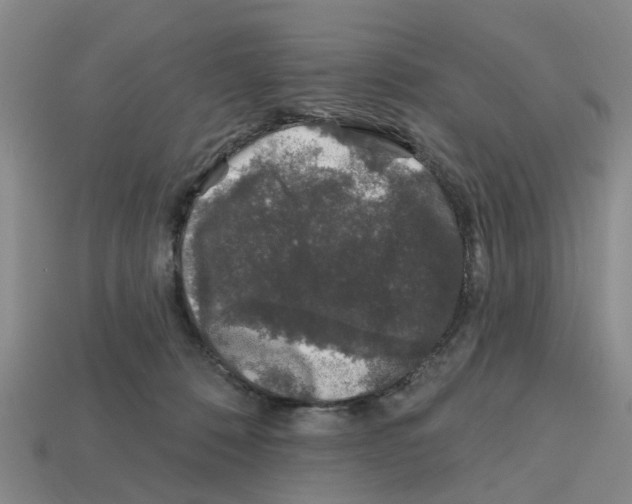 X0000112800320200910021125