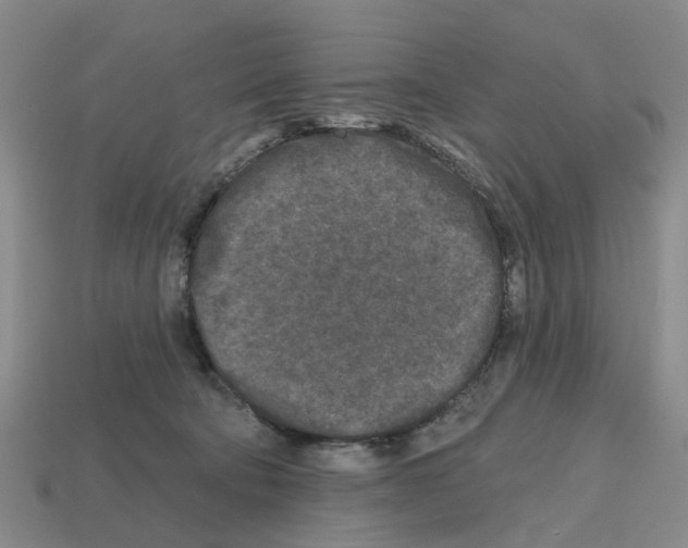 X0000112800322200910021125