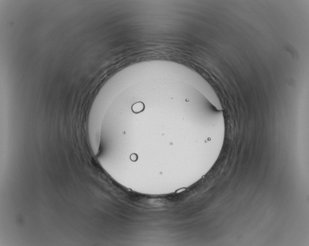 X0000112800324200910021125