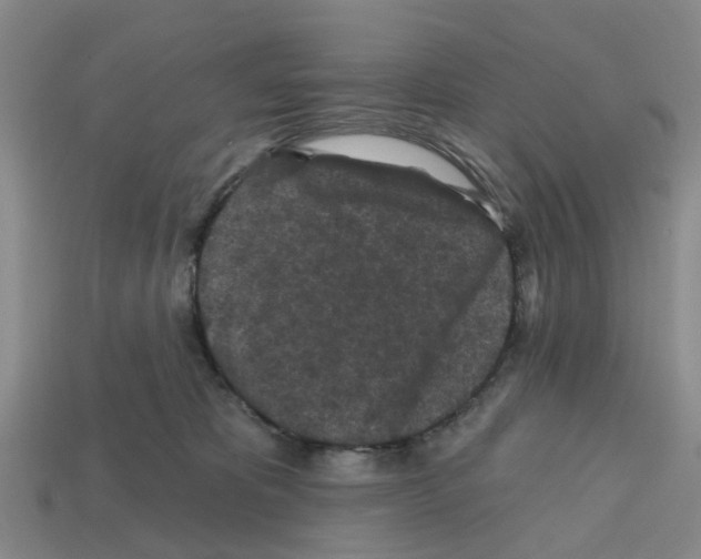 X0000112800325200910021125