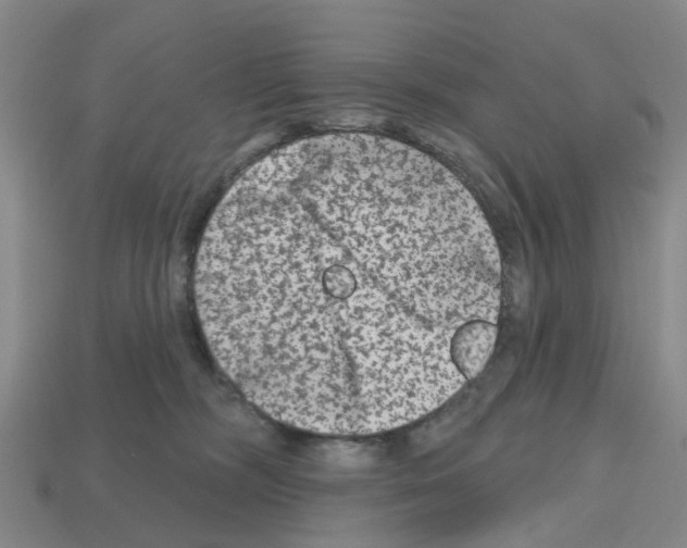 X0000112800326200910021125