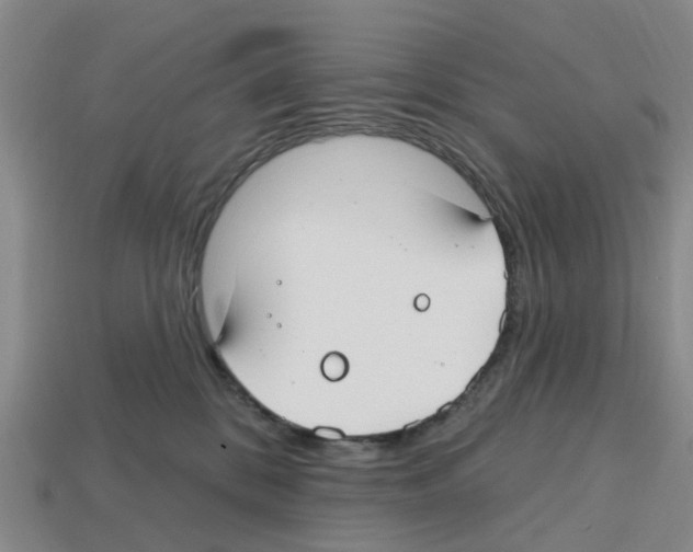 X0000112800328200910021125