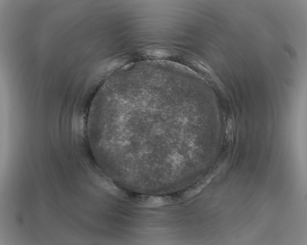 X0000112800330200910021125