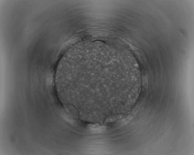 X0000112800331200910021125