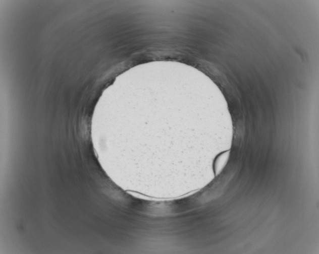 X0000112800335200910021125