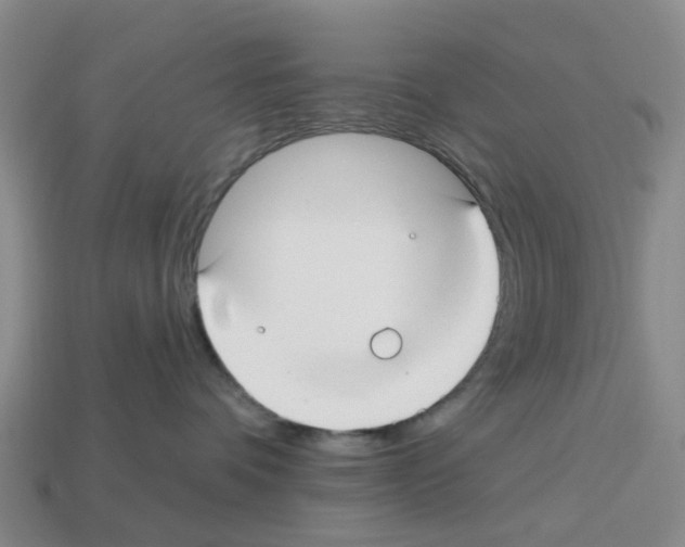 X0000112800336200910021125