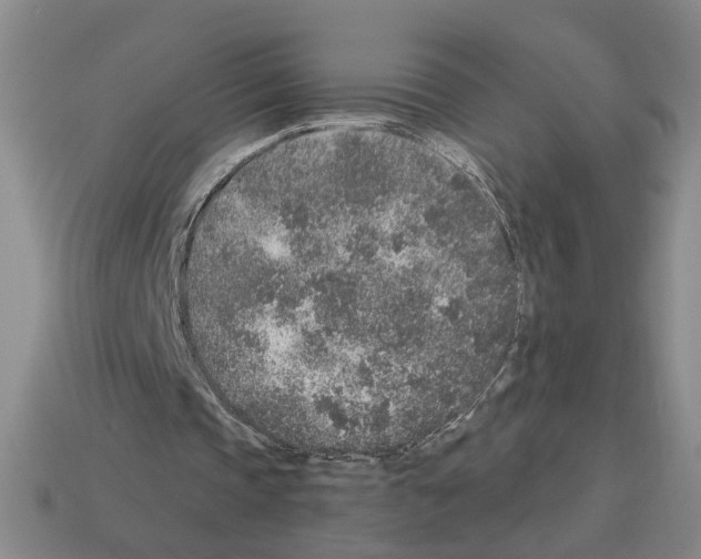 X0000112800337200910021124