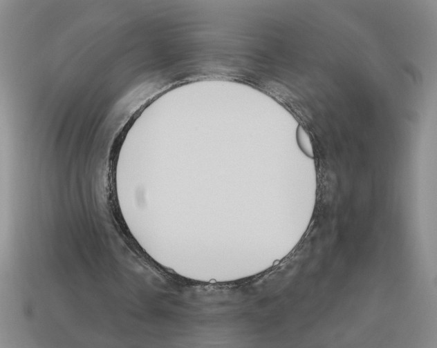 X0000112800338200910021124