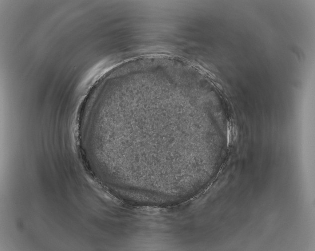 X0000112800339200910021124