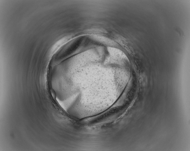 X0000112800340200910021124