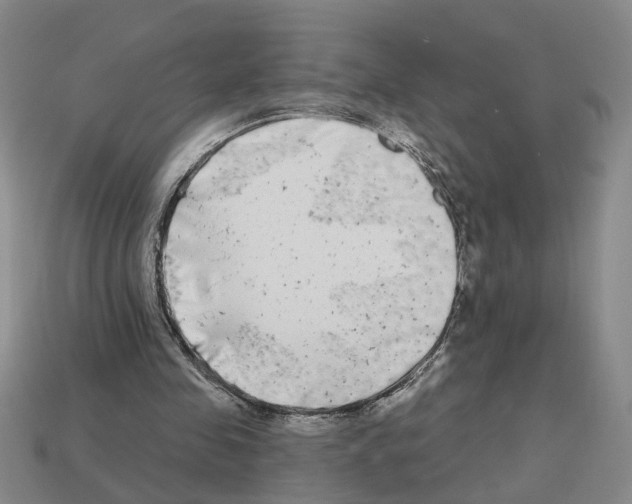 X0000112800341200910021124