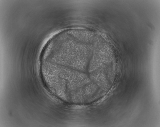 X0000112800342200910021124