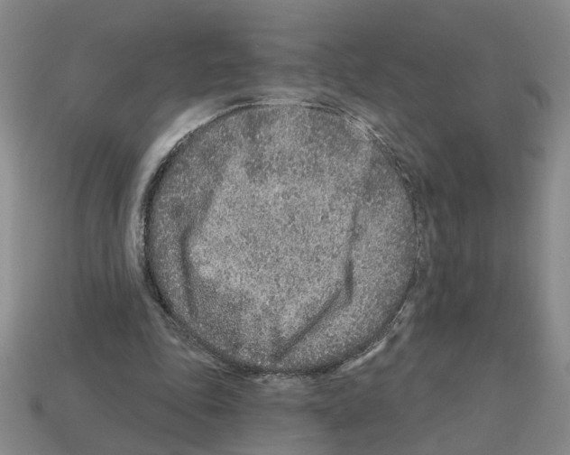 X0000112800343200910021124