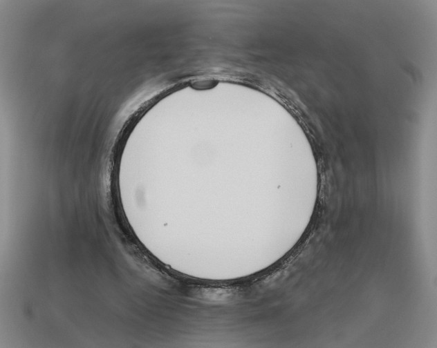 X0000112800344200910021124