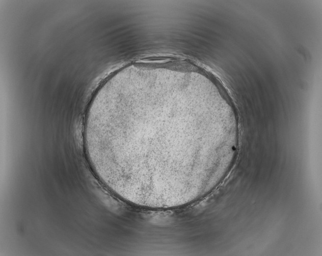 X0000112800345200910021124