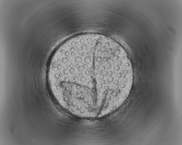 X0000112800346200910021124