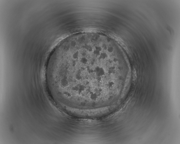 X0000112800347200910021124