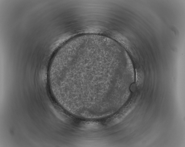 X0000112800348200910021124