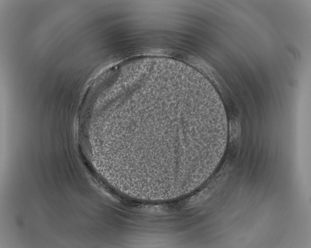 X0000112800349200910021124