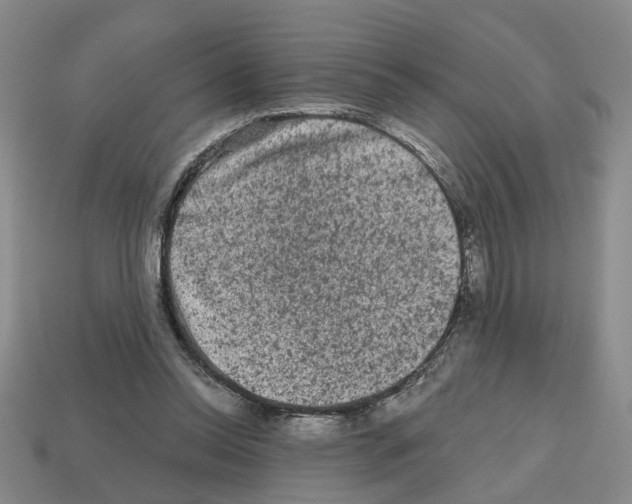 X0000112800350200910021124