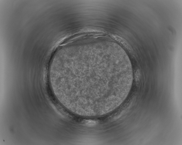 X0000112800352200910021124