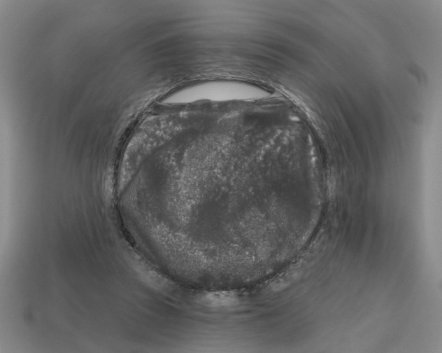 X0000112800353200910021124