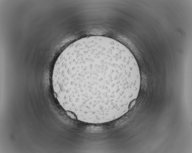 X0000112800354200910021124