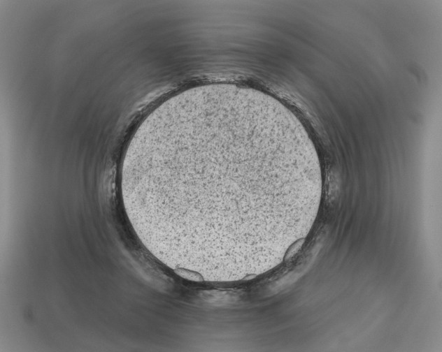 X0000112800356200910021124