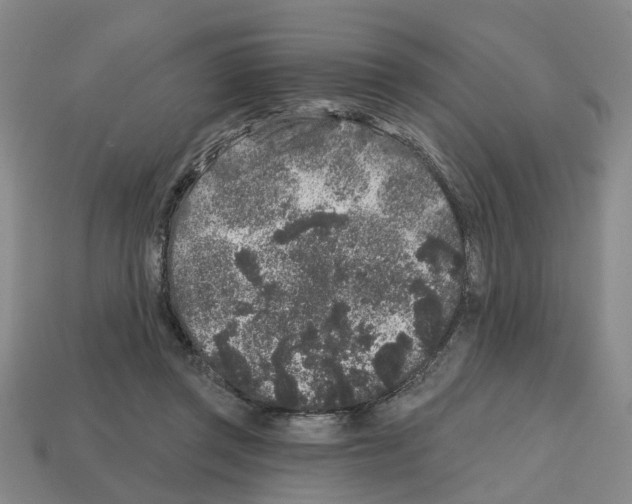 X0000112800357200910021124