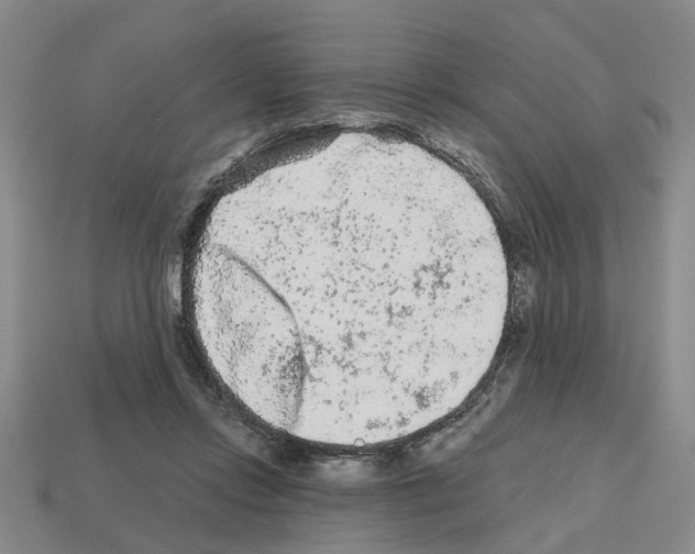 X0000112800358200910021124